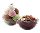 Congelados e Resfriados