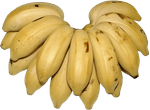 Banana-Maca-Bandeja-1Kg