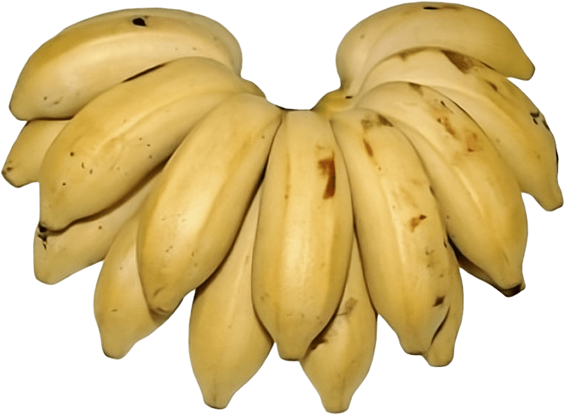 Banana-Maca-Bandeja-1Kg