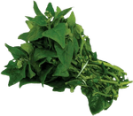 Espinafre-Amj-Unidade