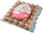 Ovos-vermelhos-Perfa-Pente-com-30-Unidades-