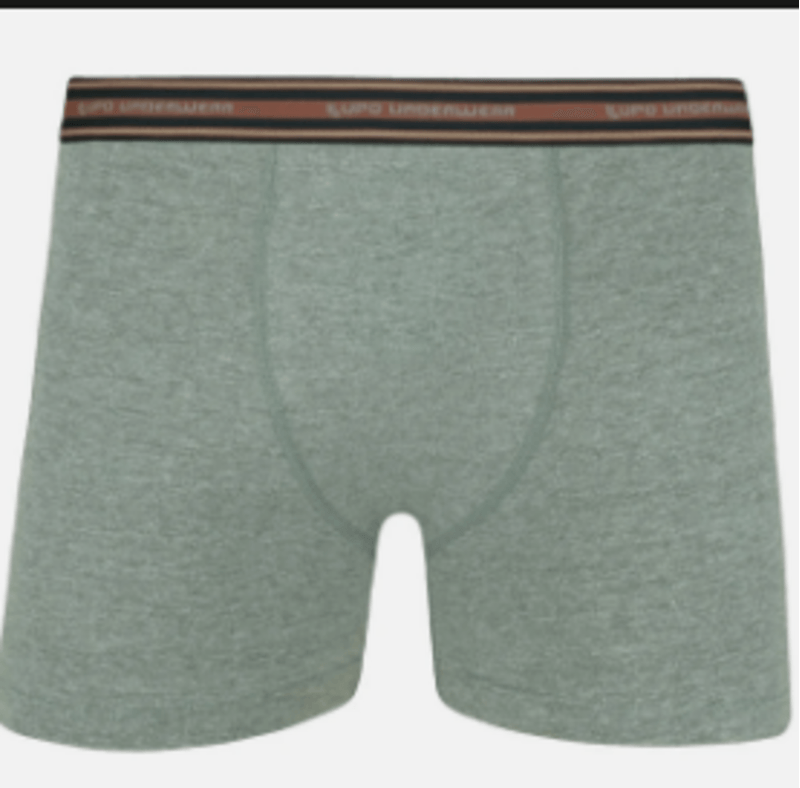 CUECA-ALG-LUPO-BOXER-1UN-CINZA-MES--P