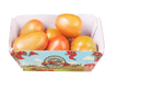 Tomate-Trebeschi-Como-Antigamente-600g