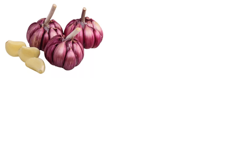 Milho-Sweet-Pronto-Trebeschi-450g