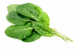 Azedinha-Organico-do-Chico-Unidade
