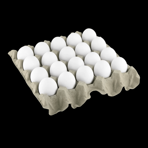 OVO GAL BCO JUMBO 20UN
