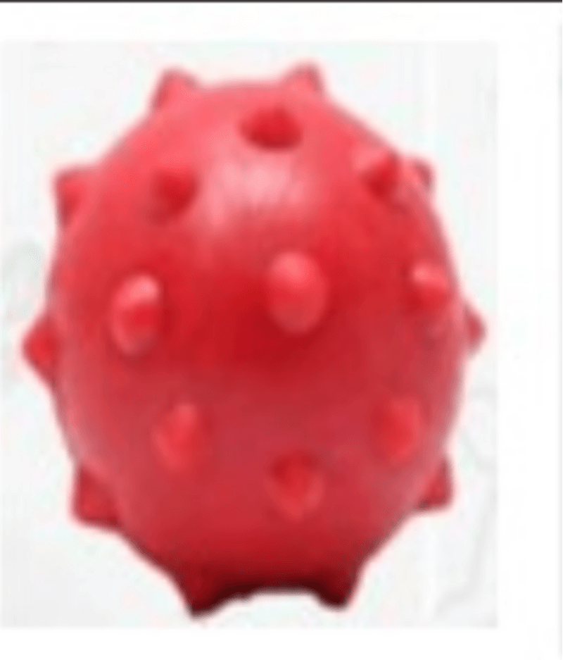 BRINQUEDO-BOLA-BORR--P--CAES