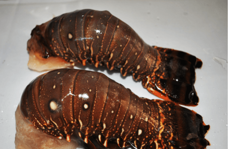 Cauda-Lagosta-Supernosso-Cong-1Kg