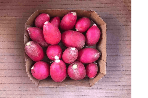 MINI RABANETE 200G