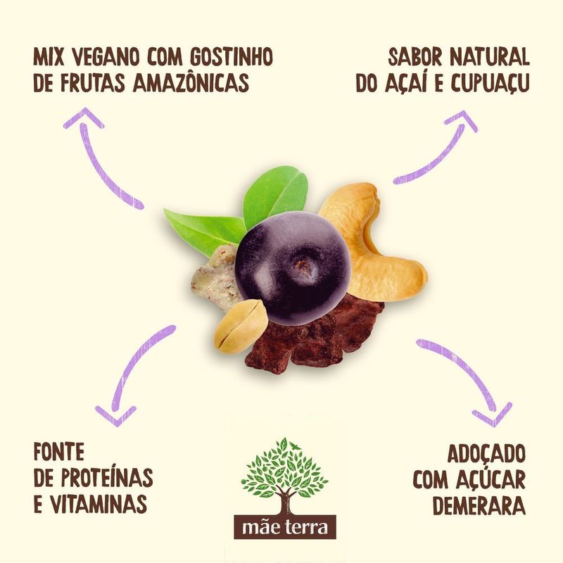 Snack-Saudavel-MAE-TERRA-Remix-Acai-25-g