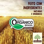 Salgadinho-de-Milho-e-Arroz-76--Integral-Organico-Queijo-Parmesao-Mae-Terra-Zooreta-Pacote-45g
