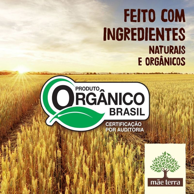 Salgadinho-de-Milho-e-Arroz-76--Integral-Organico-Queijo-Parmesao-Mae-Terra-Zooreta-Pacote-45g