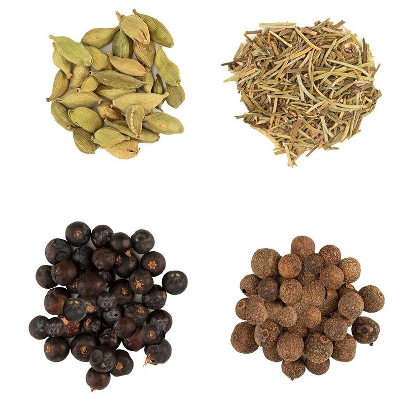 Kit-Especiarias-para-Gin-Tonica-BR-Spices-4-Unidades-de-10g-Cada