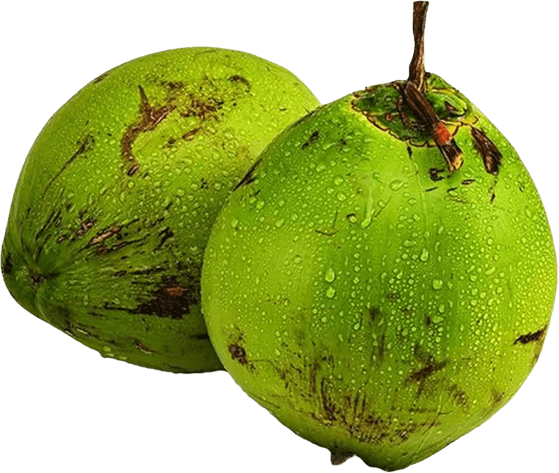 Coco-Verde-A-Unidade
