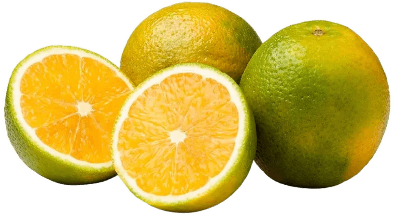 Laranja-Pera-Rio-1Kg