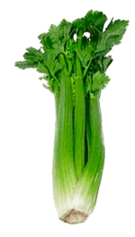 8049