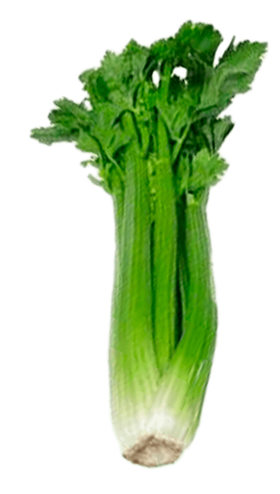 8049