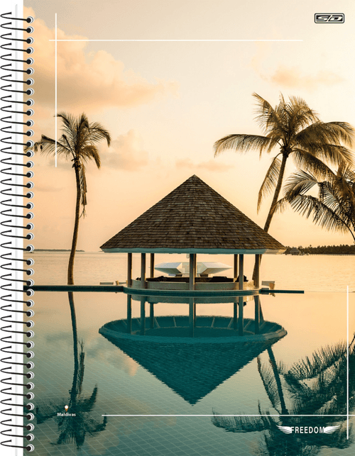 Caderno Freedon Universitário São Domingos Capa Dura 96 folhas 1x1