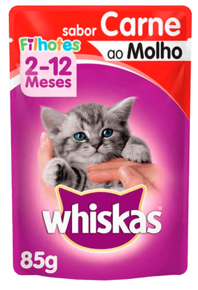 97804