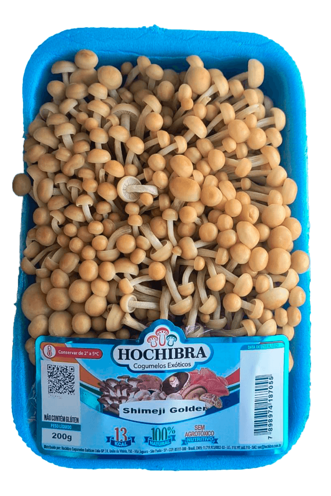 Cogumelo-Natural-Preto-Shimeji-Bandeja-200-g
