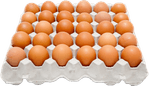 Ovo-de-Galinha-Asa-Vermelho-Pente-30-Unidades