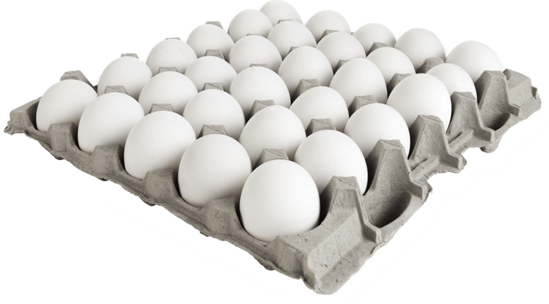 Ovo-de-Galinha-Asa-Branco-com-30-Unidades