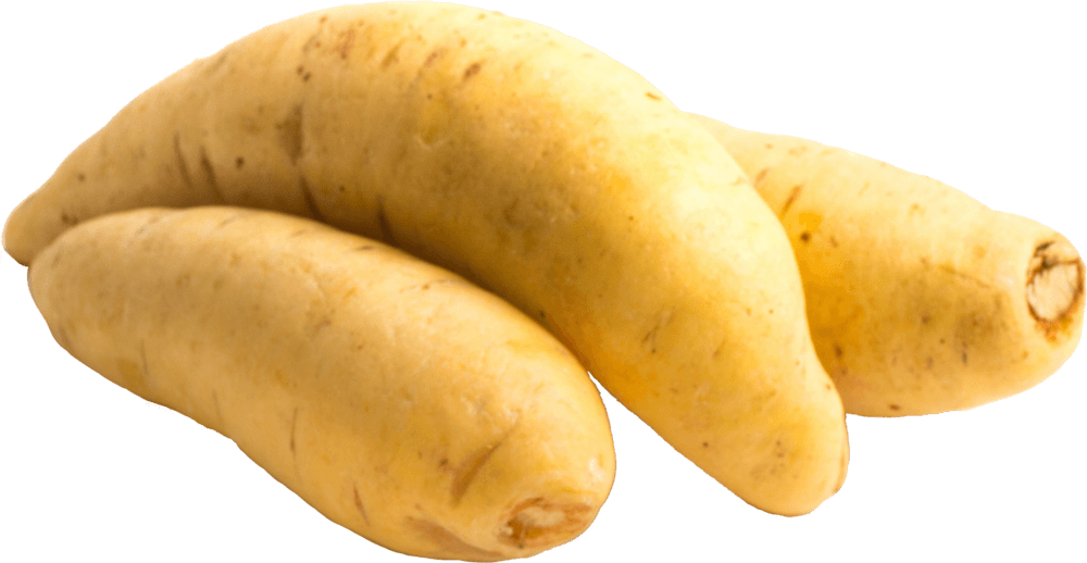 Cenoura Baroa Benassi 400g