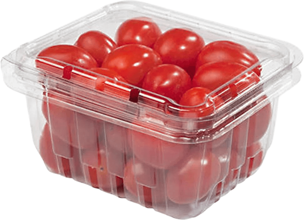 Tomate Italiano Baby Orgânico 300g