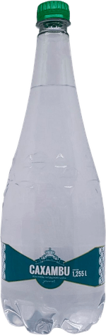 Agua-Mineral-Caxambu-Com-Gas-1255ml