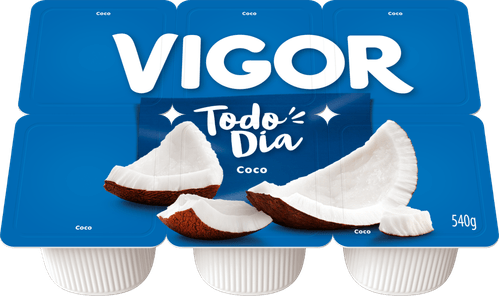 Bebida Láctea Vigor Todo Dia Coco 540g