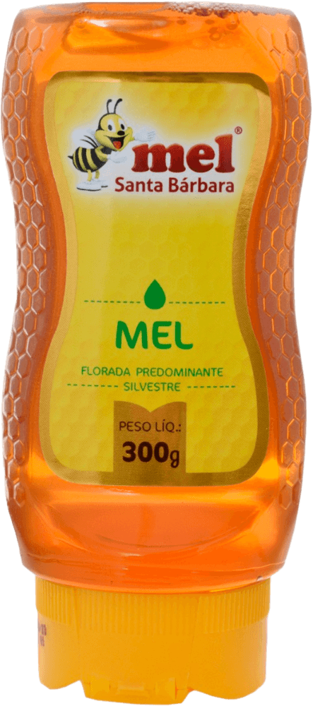 Mel de Abelha Santa Barbara Puro Bisnaga 300g