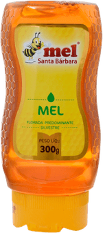 Mel-Santa-Barbara-Bisnaga-Silvestre-300g-