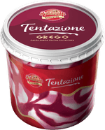Sorvete-Iogurte-Grego-com-Calda-Frutas-Silvestres-Nobrelli-Tentazione-Pote-15l