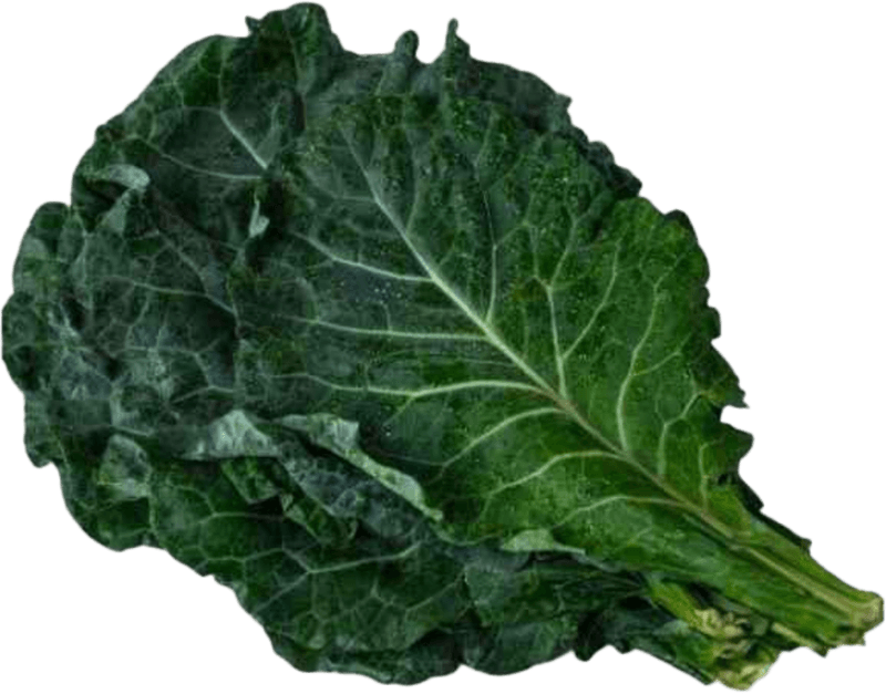 Couve-Organico-do-Chico-Molho