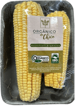 Milho-Verde-Organico-do-Chico-Bandeja