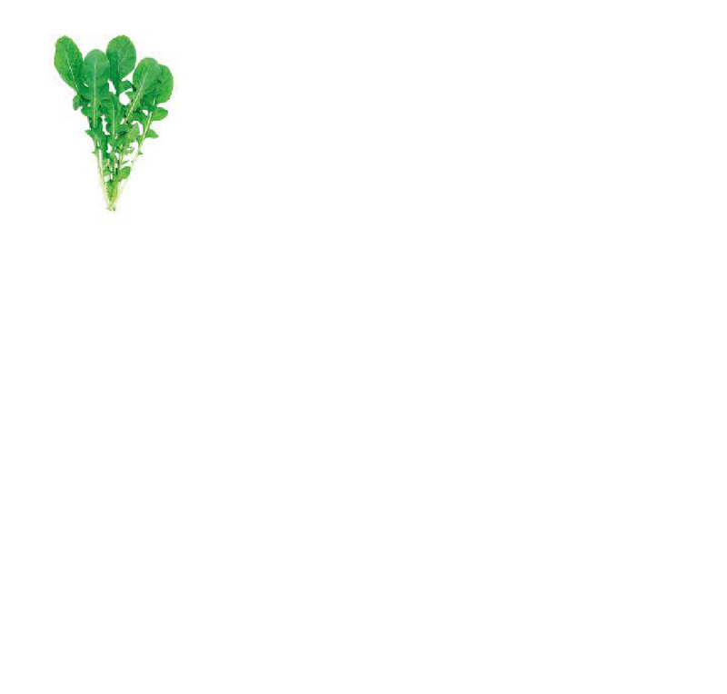 Rucula-AMJ-