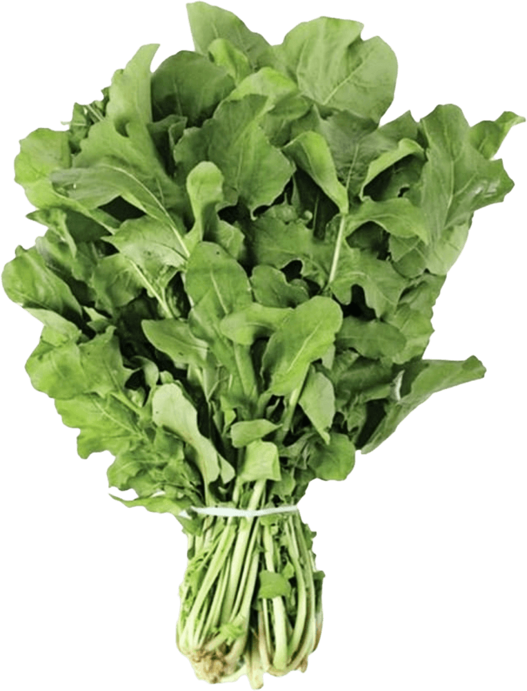 Rucula-AMJ-