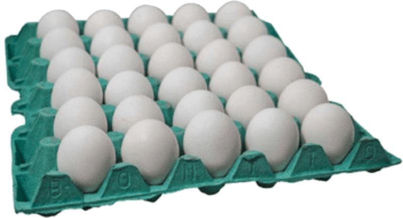 226021