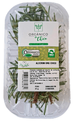 ALECRIM-ORGANICO-DO-CHICO-ALECRIM
