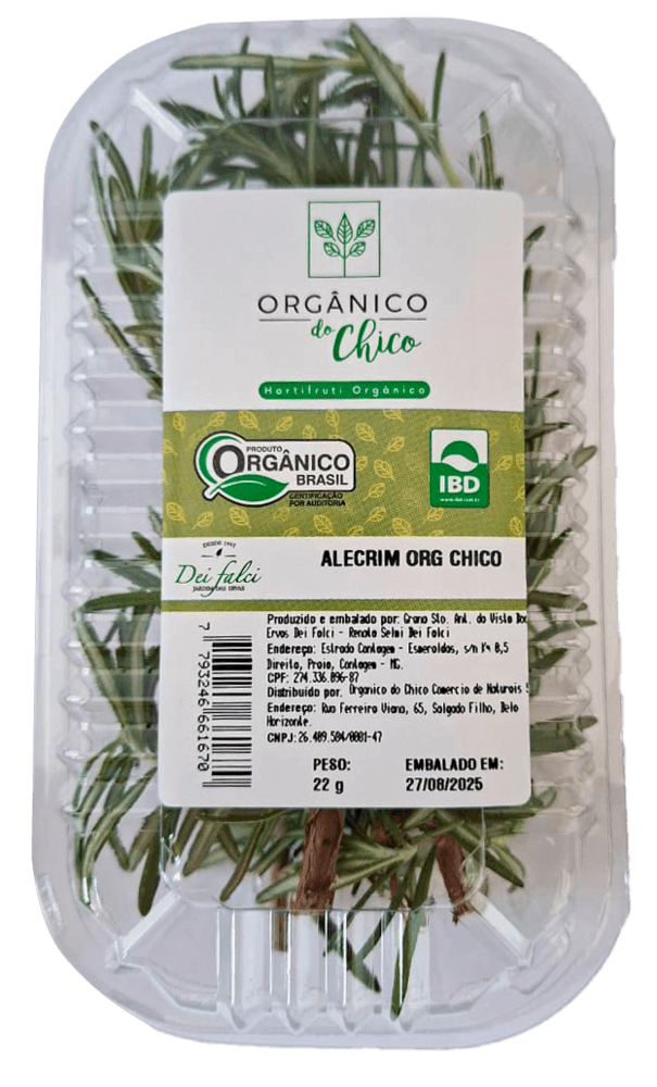 ALECRIM-ORGANICO-DO-CHICO-ALECRIM