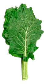 235866