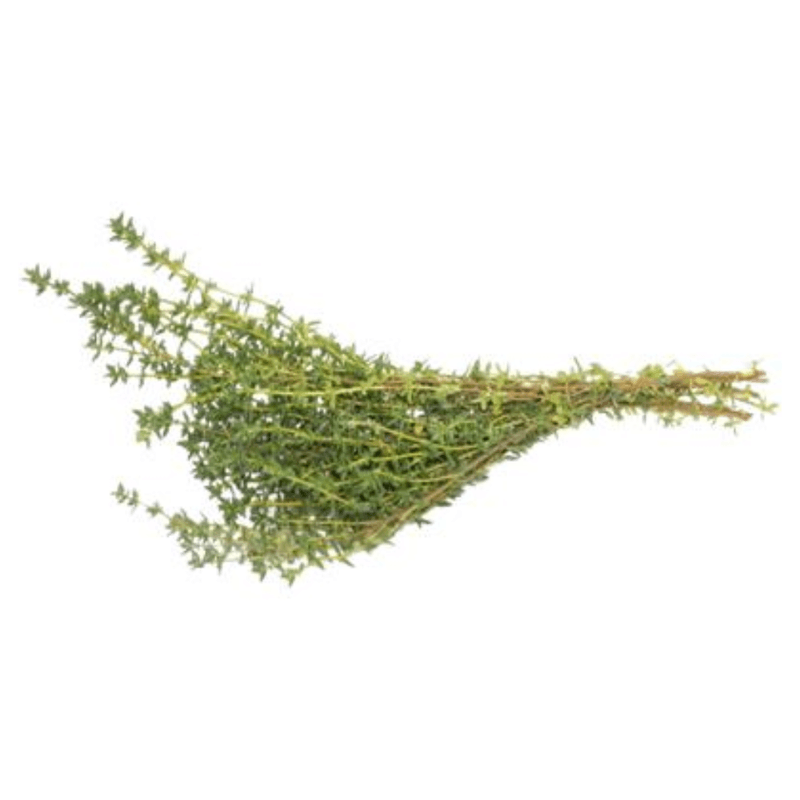 ENDRO-DILL-MH