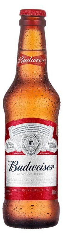 Cerveja-Budweiser-American-Lager-330ml-Long-Neck