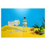 Gin-London-Dry-Gordon-s-Garrafa-750ml