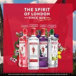 Gin-Beefeater-Blackberry---700-ml