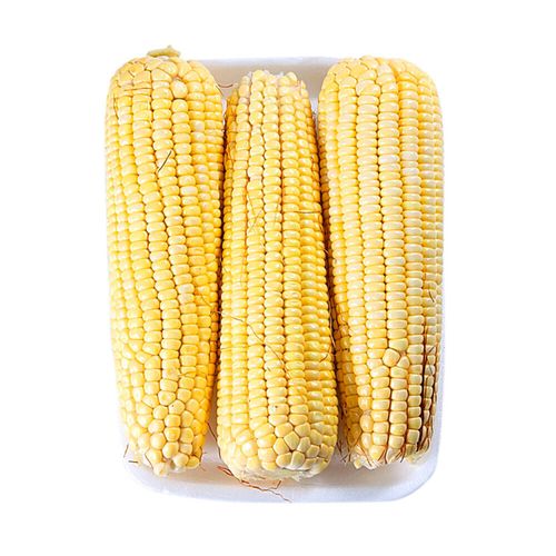 Milho Verde Eleve 1Kg