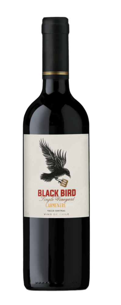 VIN CHIL BLACK BIRD CABERNET 750ML TT