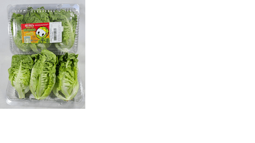 MINI ALFACE ROMANA TURMA DO HORACIO 150G-BJ