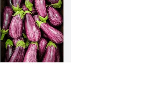 Berinjela Rajada 1Kg