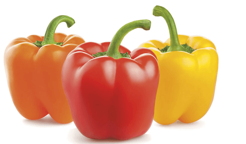 PIMENTAO DOCE BLOCK 150G